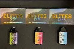 Elites Switch Disposable Vape